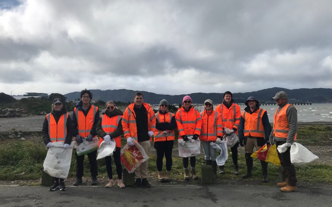 NZ Beach Clean Up Week