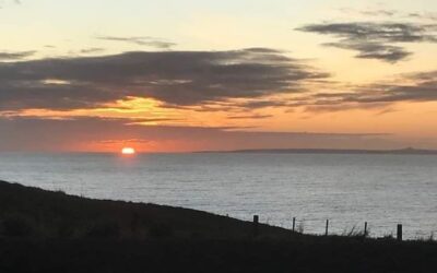 Working on the Chathams