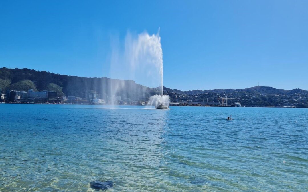 Annual Oriental Bay Survey