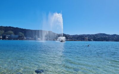 Annual Oriental Bay Survey