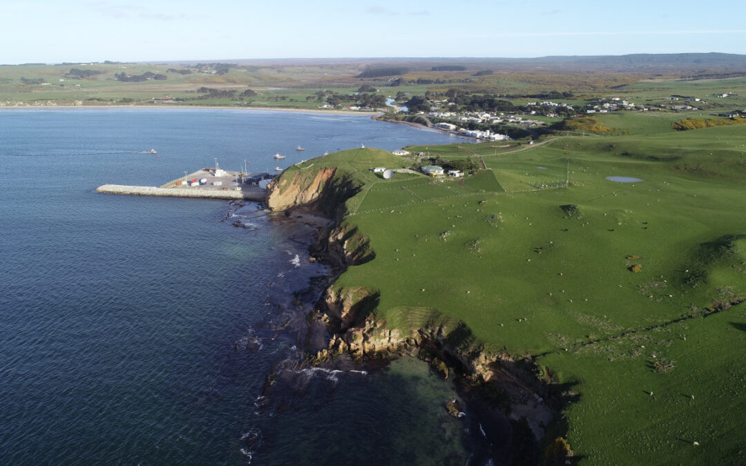 Chatham Island Surveying