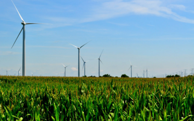 Climate Change Assessments for the Ministry for the Environment