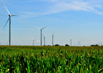 Climate Change Assessments for the Ministry for the Environment