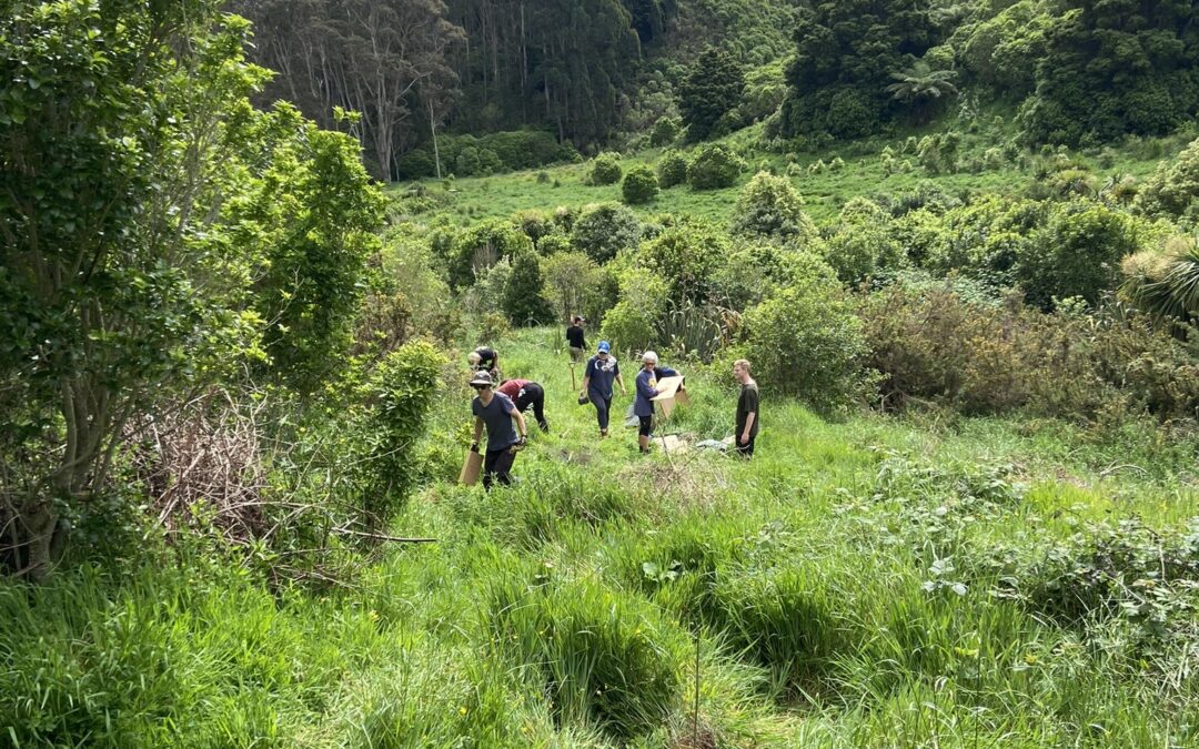 World Environment Day