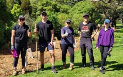 Friends of Waiwhetū Stream