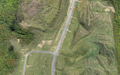 Jamaica Rise – 4 Months in