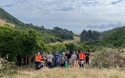 Happy World Environment Day!