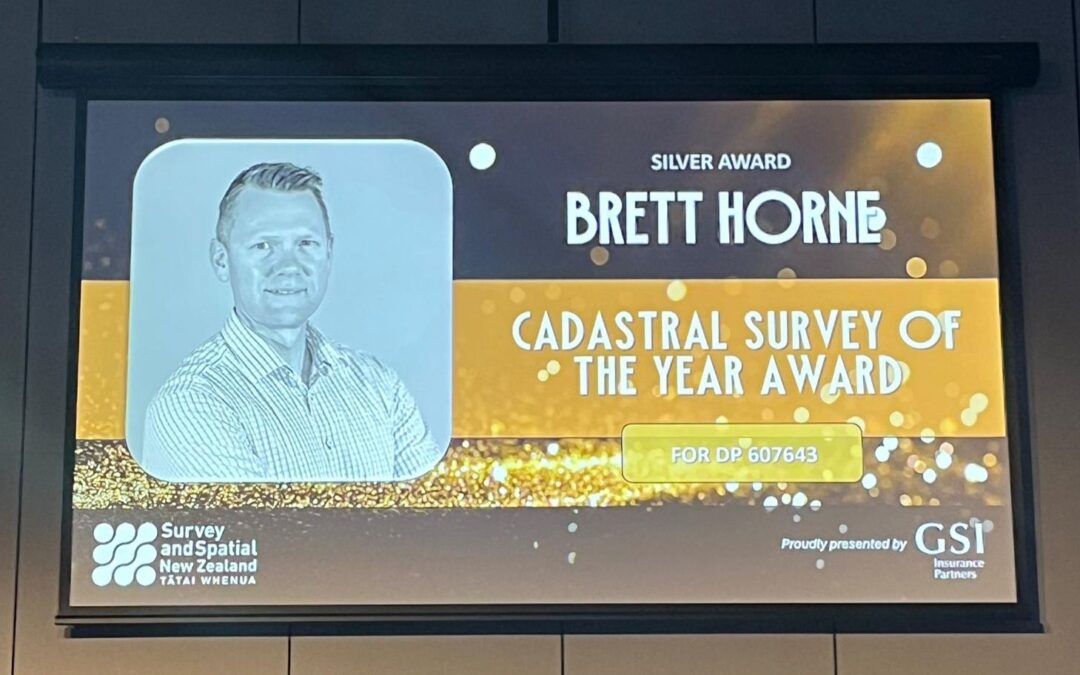 Silver for Survey of the Year!