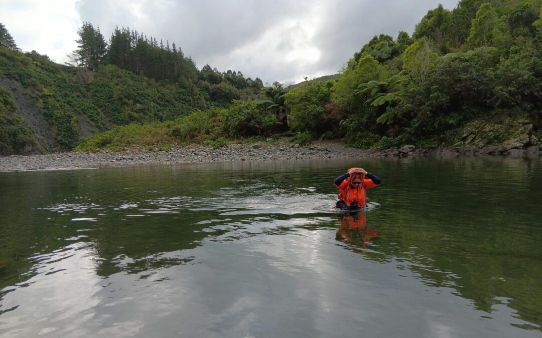 Happy Global Surveyors Day