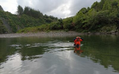 Happy Global Surveyors Day