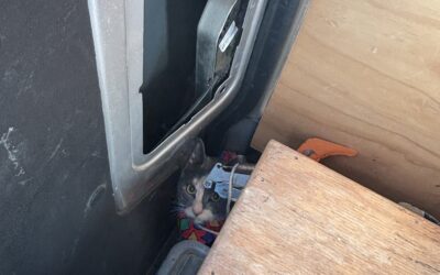 From the Field Friday….