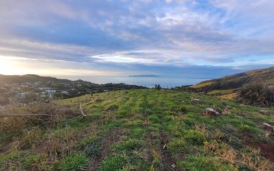 Shots from Pukerua Bay
